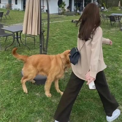 哈里·蒙特